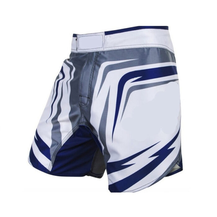 MMA Shorts - Image 1