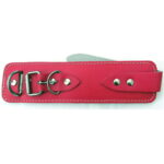 Ankle Straps - Image 2